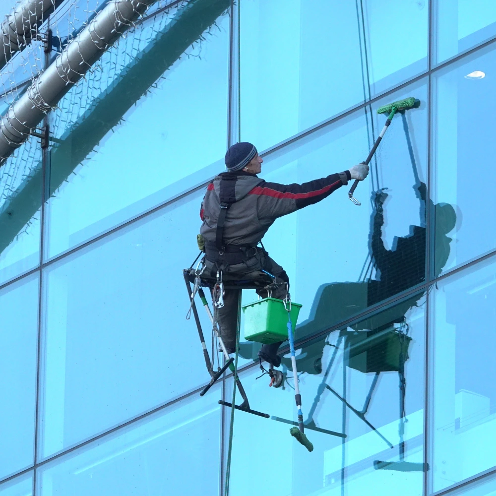 Window Cleaning Service