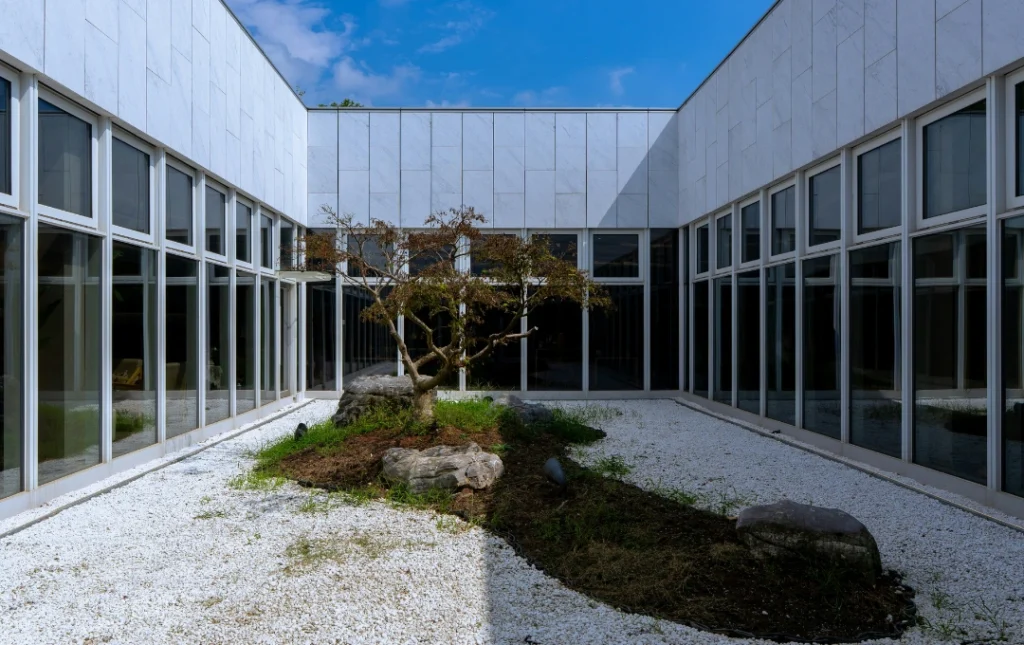 Window Cleaning Services
