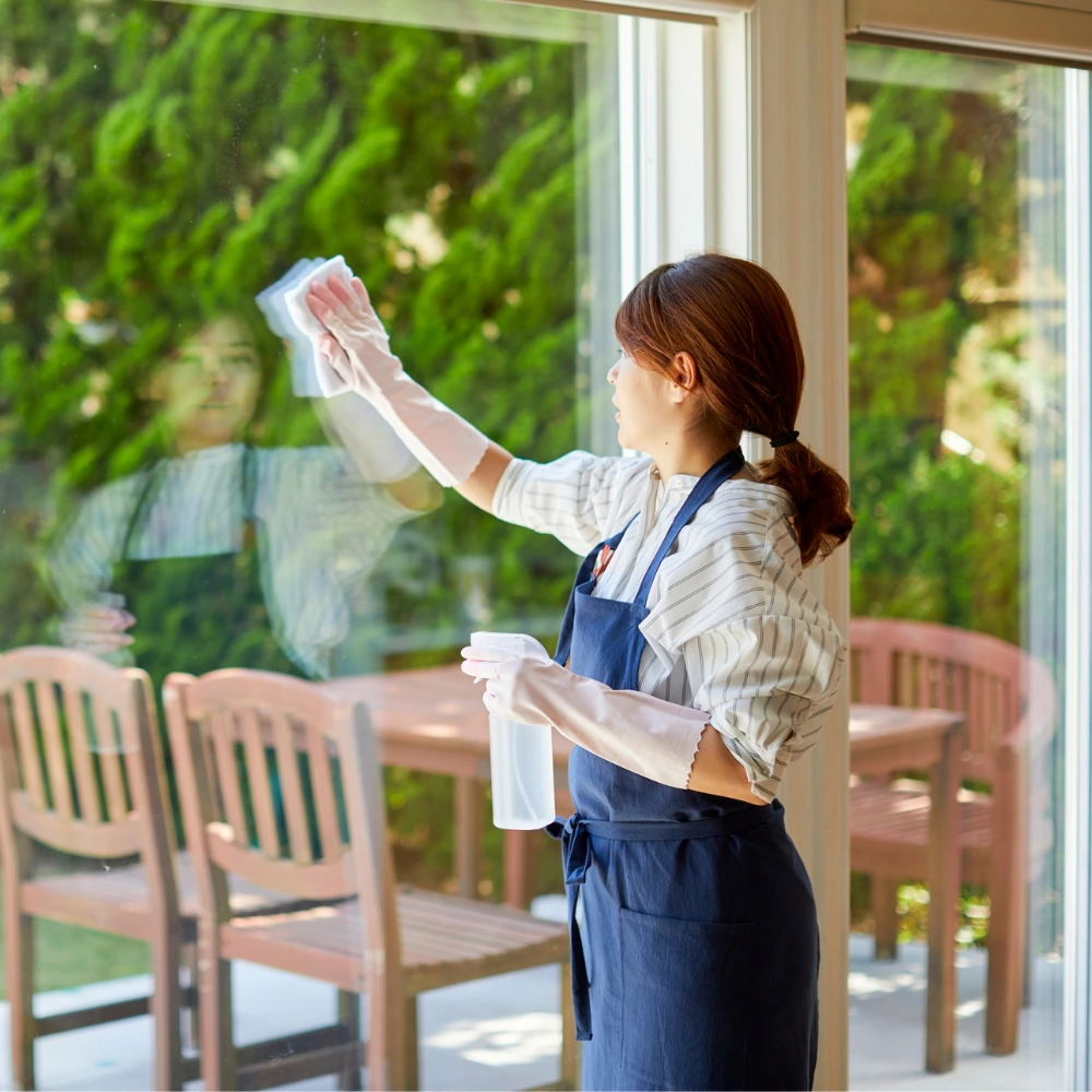 Window Cleaning Services